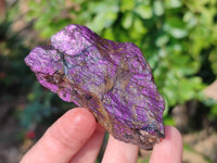 Natural Metallic Purpurite Specimens x 24 From Erongo, Namibia