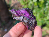 Natural Metallic Purpurite Specimens x 24 From Erongo, Namibia