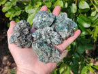 Natural Emerald Mica 'Mutokolite' Specimens x 20 From Mutoko, Zimbabwe - Toprock Gemstones and Minerals 
