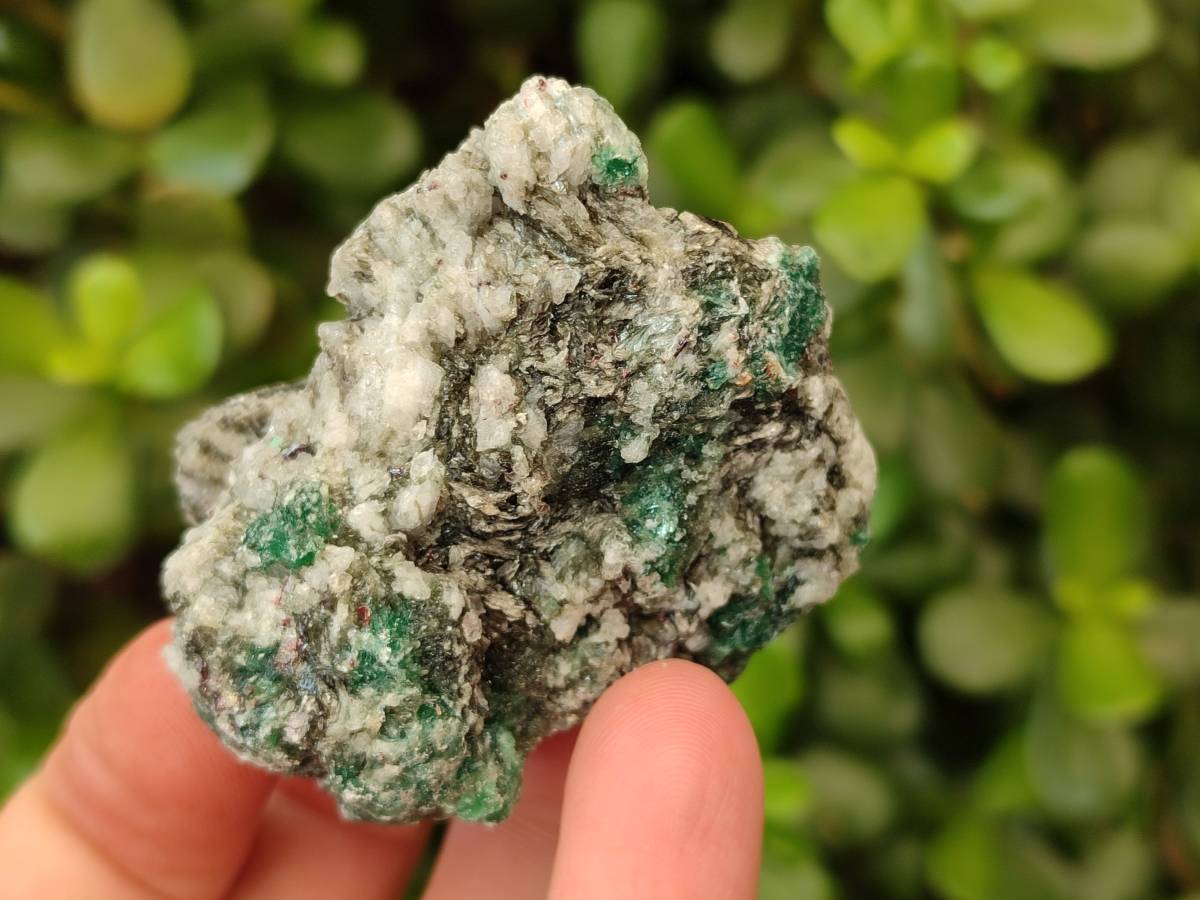 Natural Emerald Mica 'Mutokolite' Specimens x 20 From Mutoko, Zimbabwe - Toprock Gemstones and Minerals 
