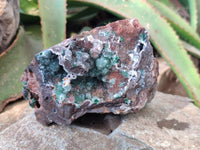 Natural Ball Malachite On Dolomite Matrix Specimens x 2 From Kambove, Congo
