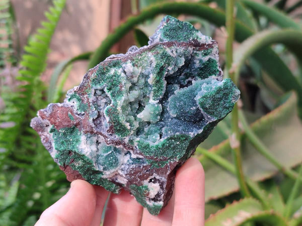 Natural Ball Malachite On Dolomite Matrix Specimens x 2 From Kambove, Congo