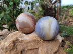 Polished Banded Agate Spheres x 3 From Madagascar - Toprock Gemstones and Minerals 