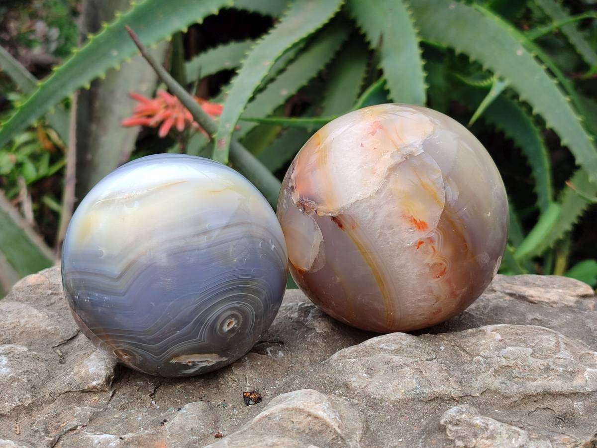 Polished Banded Agate Spheres x 3 From Madagascar - Toprock Gemstones and Minerals 