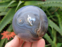 Polished Banded Agate Spheres x 3 From Madagascar