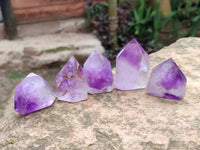 Polished Window Amethyst Crystals x 12 From Madagascar