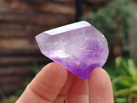 Polished Window Amethyst Crystals x 12 From Madagascar