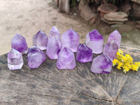 Polished Window Amethyst Crystals x 12 From Madagascar