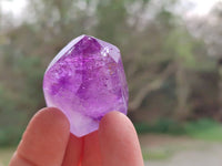 Polished Window Amethyst Crystals x 12 From Madagascar