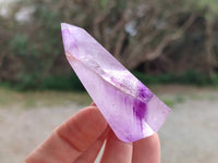 Polished Window Amethyst Crystals x 12 From Madagascar