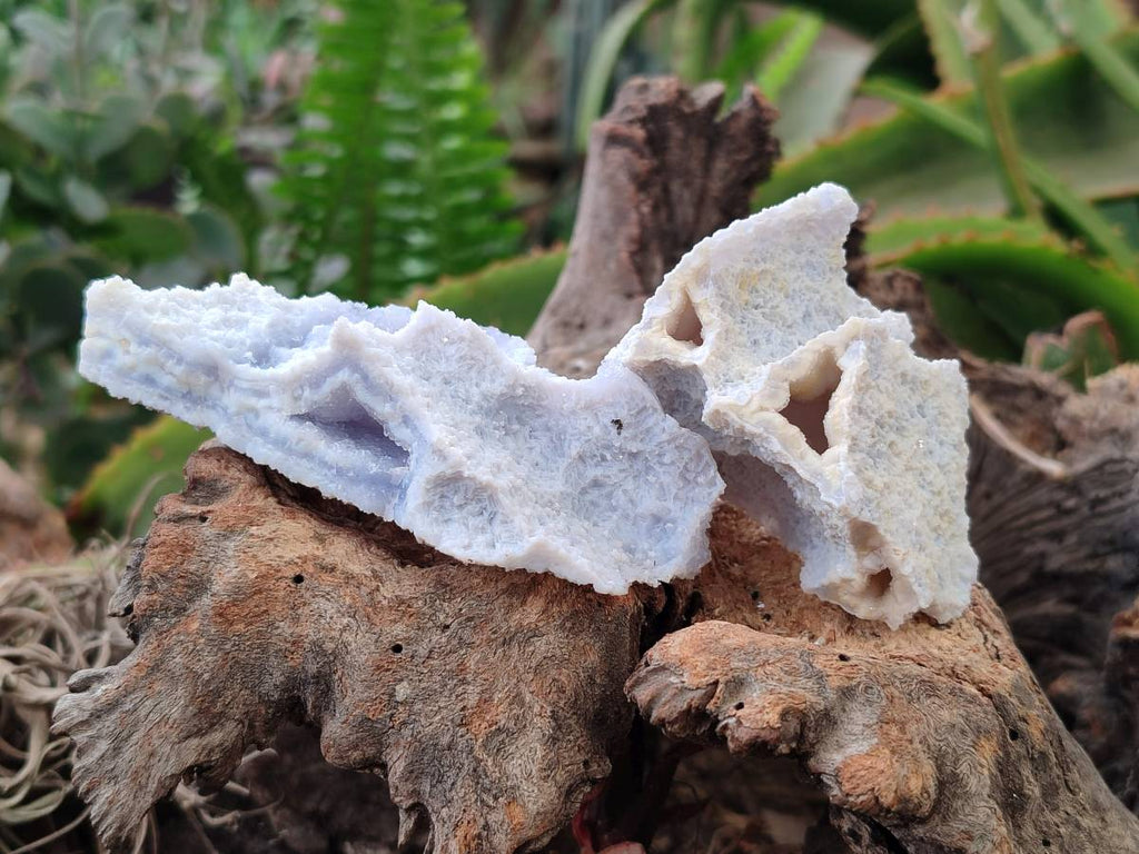 Natural Etched Blue Chalcedony Specimens x 12 From Nsanje, Malawi - Toprock Gemstones and Minerals 