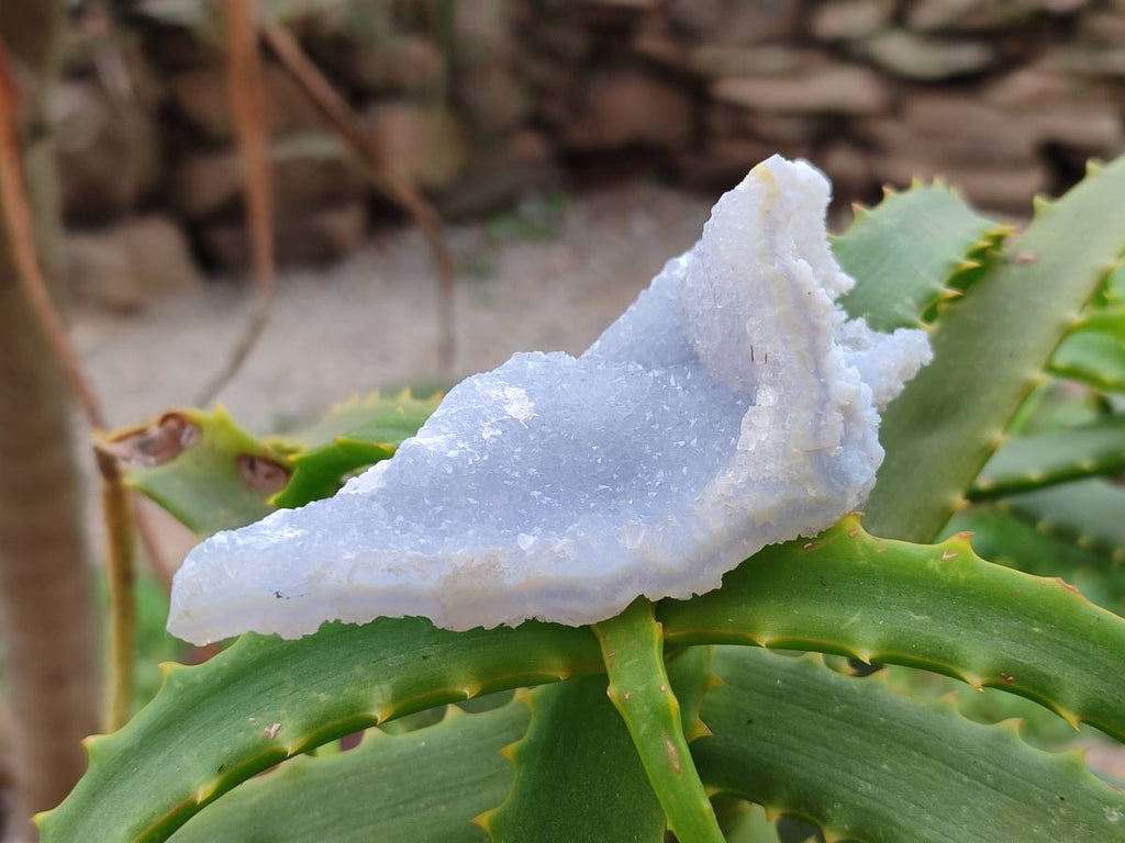 Natural Etched Blue Chalcedony Specimens x 12 From Nsanje, Malawi - Toprock Gemstones and Minerals 