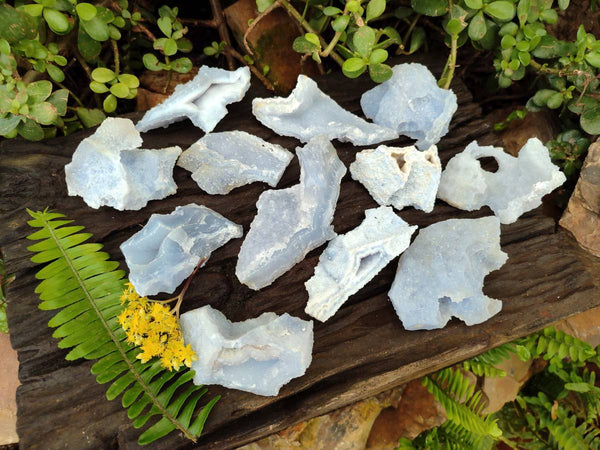 Natural Etched Blue Chalcedony Specimens x 12 From Nsanje, Malawi