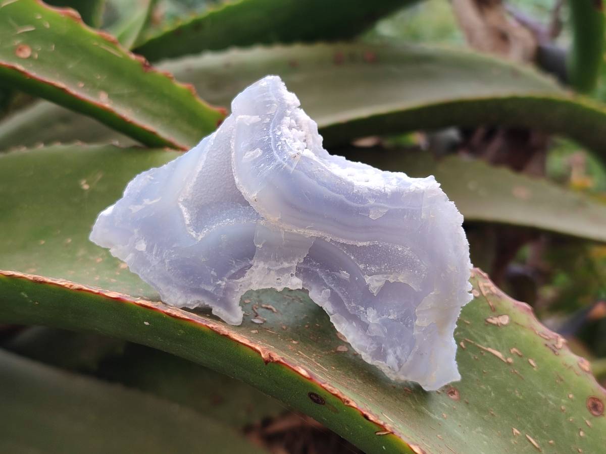 Natural Etched Blue Chalcedony Specimens x 12 From Nsanje, Malawi - Toprock Gemstones and Minerals 