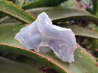 Natural Etched Blue Chalcedony Specimens x 12 From Nsanje, Malawi