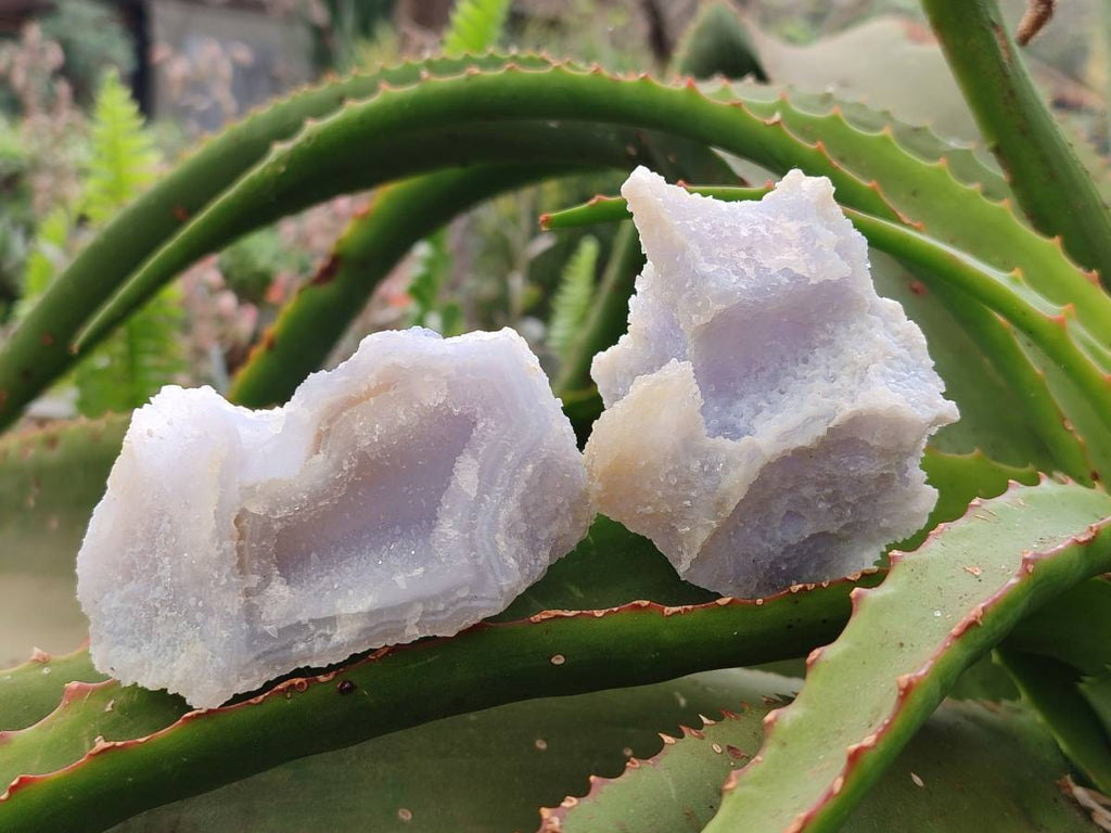 Natural Etched Blue Chalcedony Specimens x 12 From Nsanje, Malawi - Toprock Gemstones and Minerals 