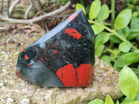 Polished Bloodstone Points x 3 From Swaziland