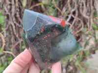 Polished Bloodstone Points x 3 From Swaziland