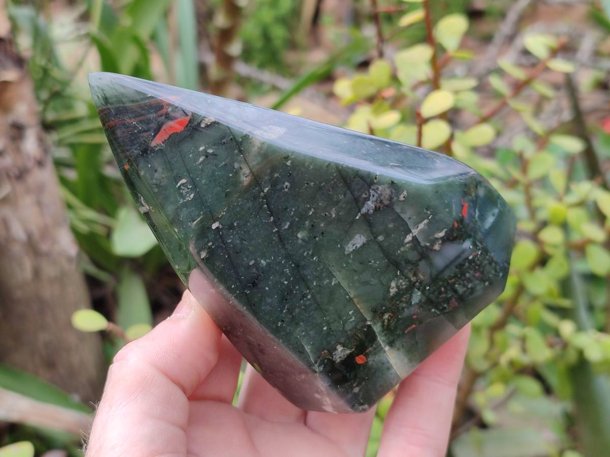 Polished Bloodstone Points x 3 From Swaziland - Toprock Gemstones and Minerals 