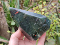 Polished Bloodstone Points x 3 From Swaziland