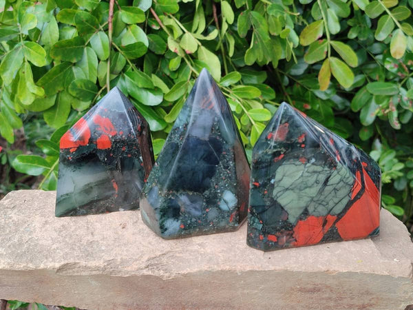 Polished Bloodstone Points x 3 From Swaziland