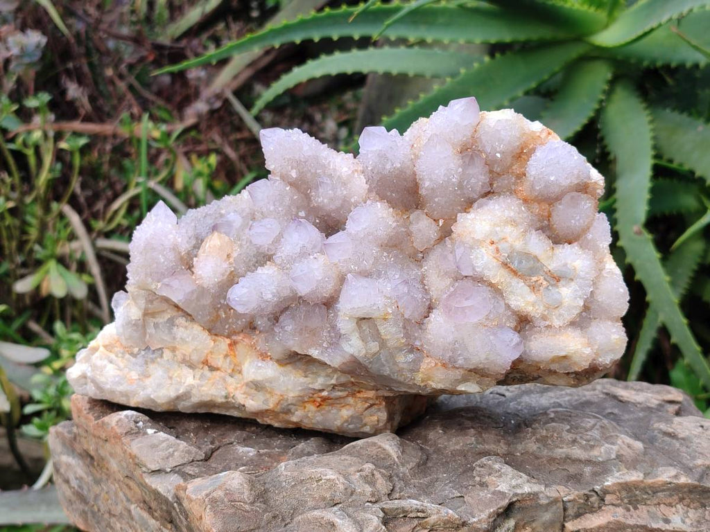 Natural Amethyst Spirit Quartz Cluster x 1 From South Africa - Toprock Gemstones and Minerals 