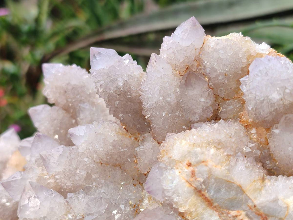 Natural Amethyst Spirit Quartz Cluster x 1 From South Africa - Toprock Gemstones and Minerals 