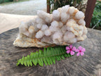 Natural Amethyst Spirit Quartz Cluster x 1 From South Africa - Toprock Gemstones and Minerals 