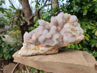 Natural Amethyst Spirit Quartz Cluster x 1 From South Africa