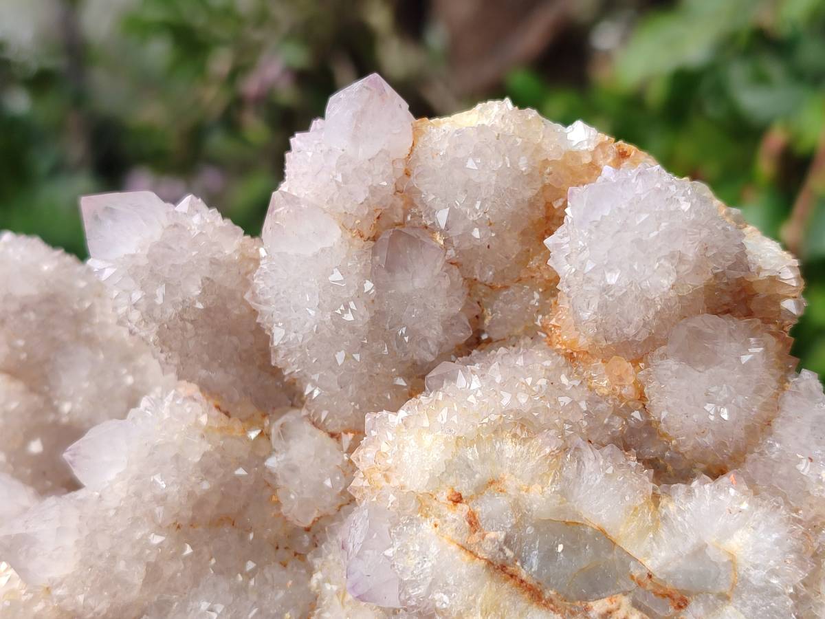 Natural Amethyst Spirit Quartz Cluster x 1 From South Africa - Toprock Gemstones and Minerals 