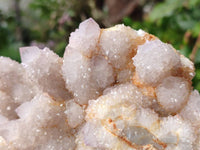 Natural Amethyst Spirit Quartz Cluster x 1 From South Africa