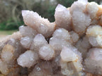 Natural Amethyst Spirit Quartz Cluster x 1 From South Africa - Toprock Gemstones and Minerals 