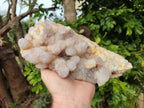 Natural Amethyst Spirit Quartz Cluster x 1 From South Africa - Toprock Gemstones and Minerals 