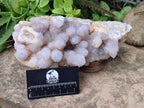 Natural Amethyst Spirit Quartz Cluster x 1 From South Africa - Toprock Gemstones and Minerals 