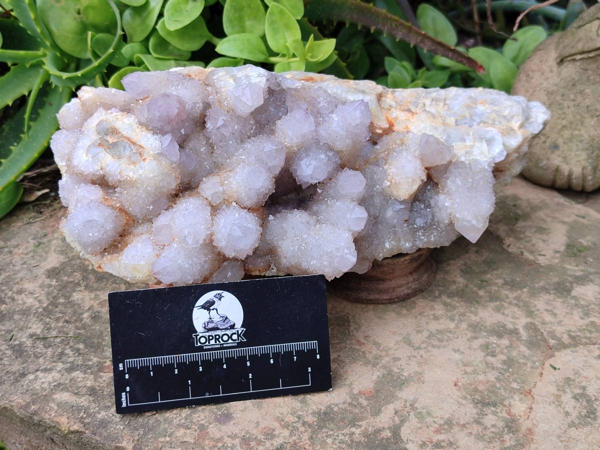 Natural Amethyst Spirit Quartz Cluster x 1 From South Africa - Toprock Gemstones and Minerals 
