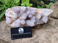 Natural Amethyst Spirit Quartz Cluster x 1 From South Africa