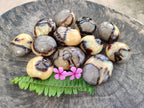 Polished Septerye Palm Stones x 12 From Madagascar - Toprock Gemstones and Minerals 