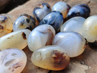 Polished Mini Dendritic Agate Palm Stones x 64 From Madagascar