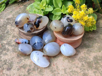 Polished Mini Dendritic Agate Palm Stones x 64 From Madagascar