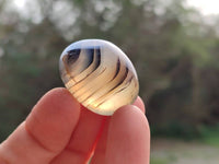 Polished Mini Dendritic Agate Palm Stones x 64 From Madagascar