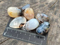 Polished Mini Dendritic Agate Palm Stones x 64 From Madagascar