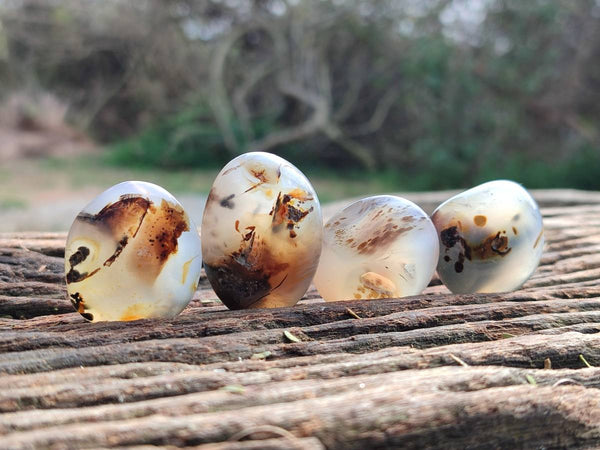 Polished Mini Dendritic Agate Palm Stones x 64 From Madagascar