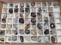 Polished Mini Dendritic Agate Palm Stones x 64 From Madagascar