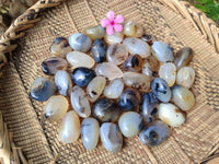 Polished Mini Dendritic Agate Palm Stones x 64 From Madagascar