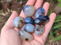Polished Mini Dendritic Agate Palm Stones x 64 From Madagascar