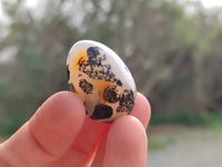 Polished Mini Dendritic Agate Palm Stones x 64 From Madagascar
