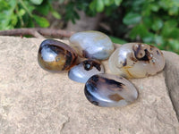 Polished Mini Dendritic Agate Palm Stones x 64 From Madagascar