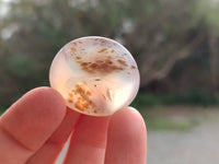 Polished Mini Dendritic Agate Palm Stones x 64 From Madagascar