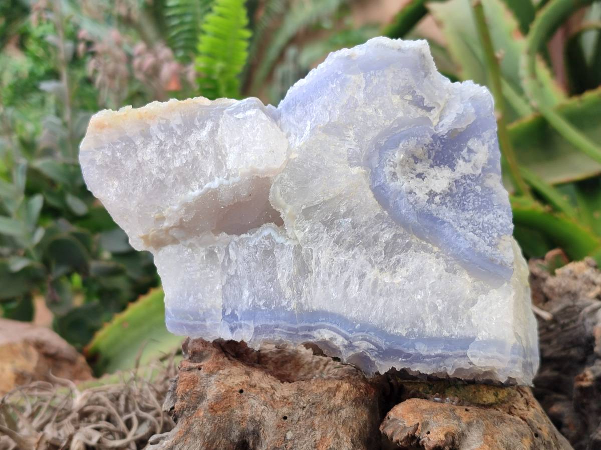 Natural Etched Blue Chalcedony Specimens x 2 From Nsanje, Malawi - Toprock Gemstones and Minerals 