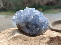 Natural Celestite Specimens x 6 From Sakoany, Madagascar